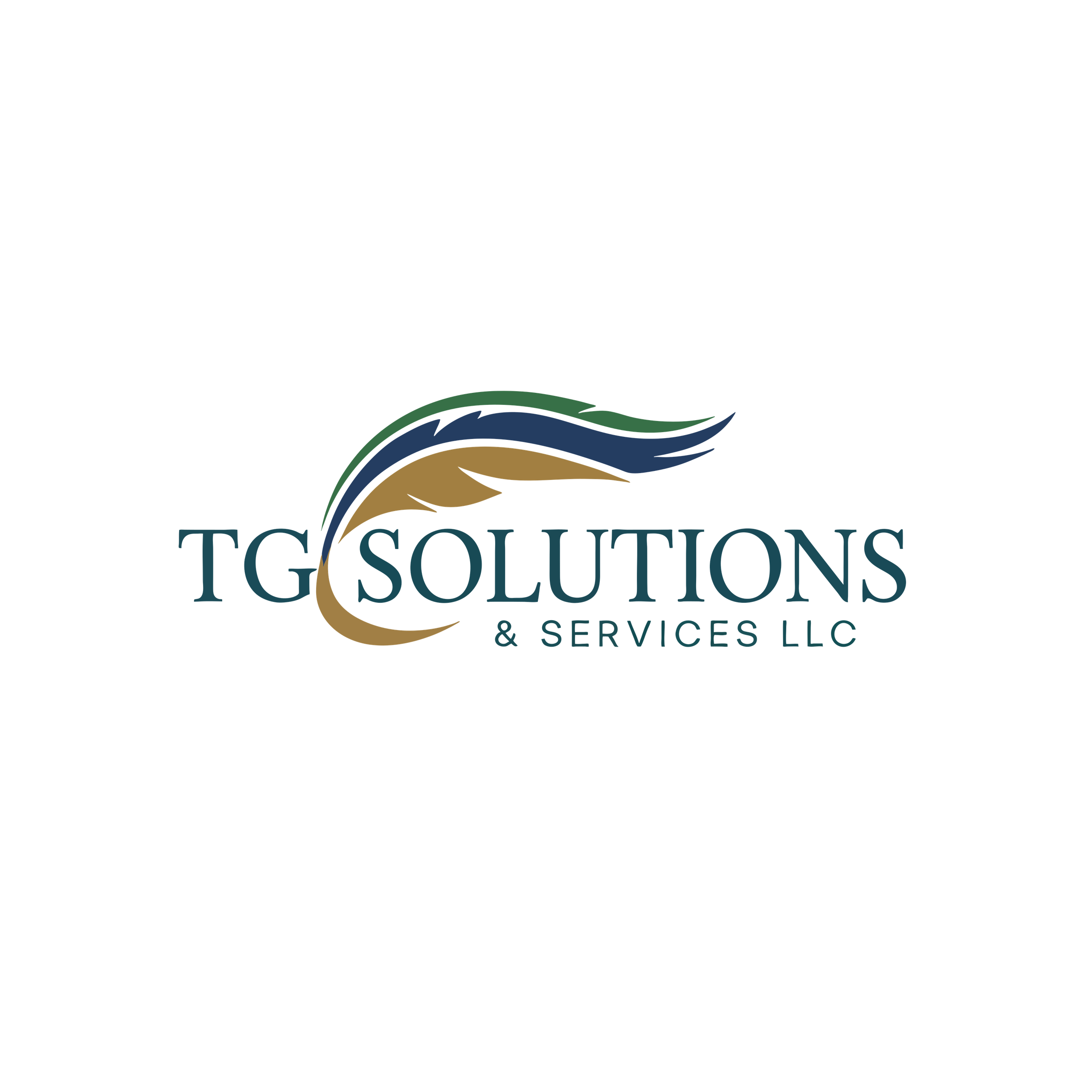 TG Solutions & Services LLC