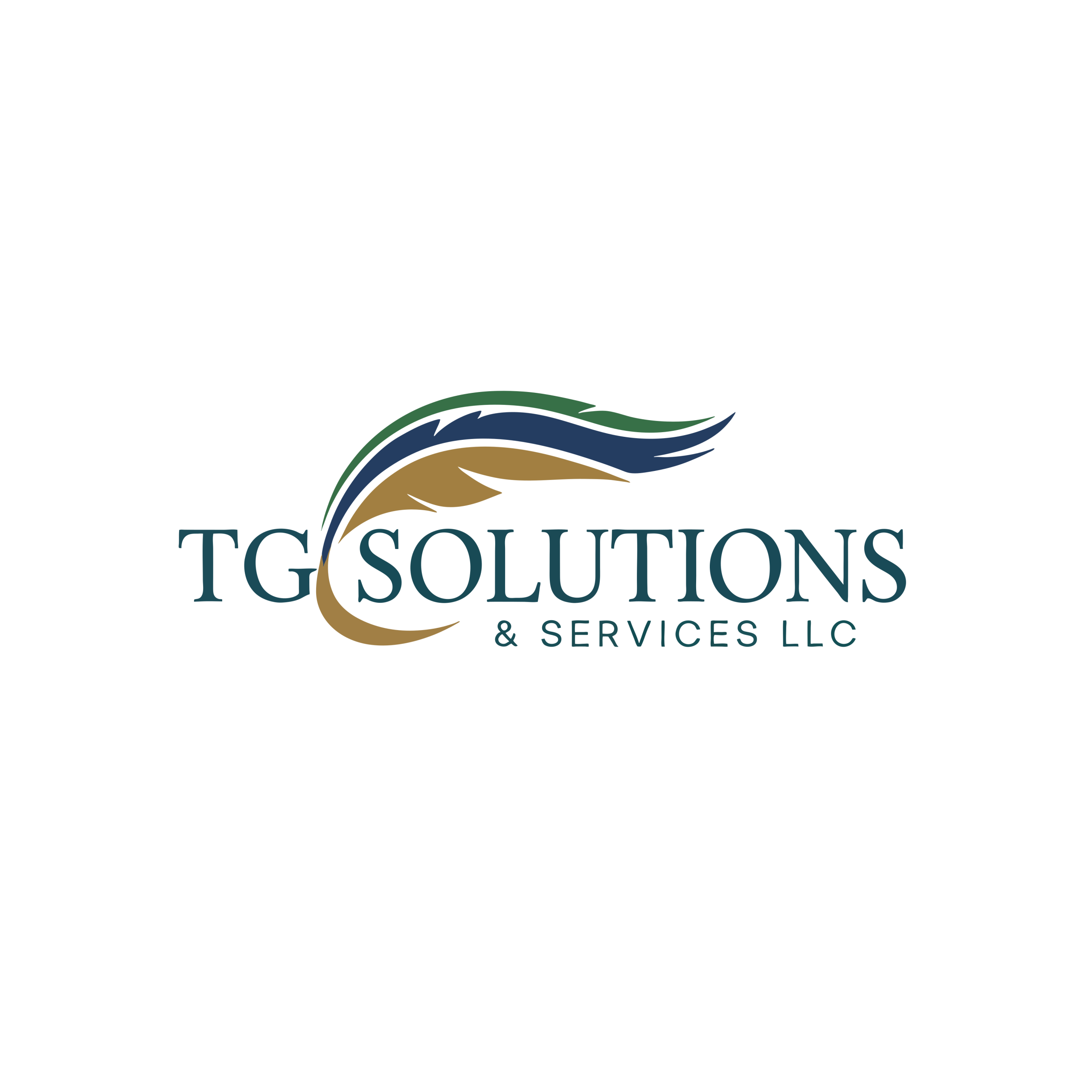 TG Solutions & Services LLC